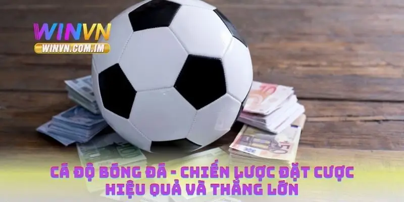 Cá Độ Bóng Đá - Chiến Lược Đặt Cược Hiệu Quả và Thắng Lớn 10 Cá độ bóng đá