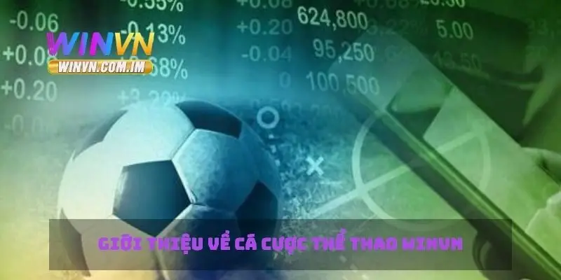 Thể Thao Winvn Cập Nhật Tin Tức Cá Cược Thể Thao 1 Giới thiệu về cá cược thể thao Winvn