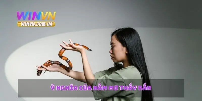 Nằm Mơ Thấy Rắn – Giải Mã Ý Nghĩa Và Điềm Báo Giấc Mơ 1 Ý nghĩa của nằm mơ thấy rắn
